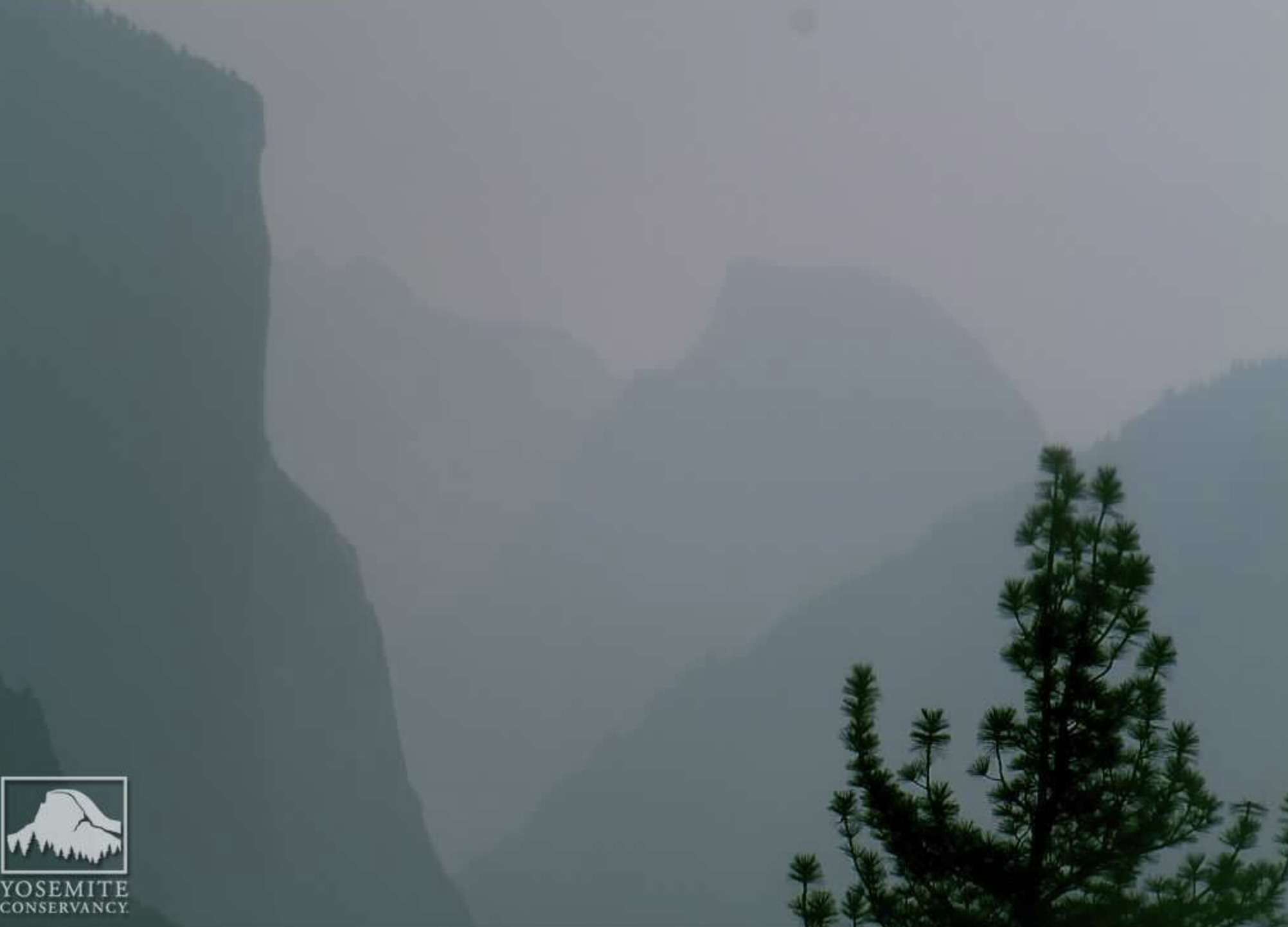 UPDATE: Plein Air Pandemic #5