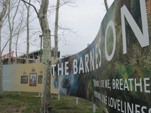 Barnes Construction Banes