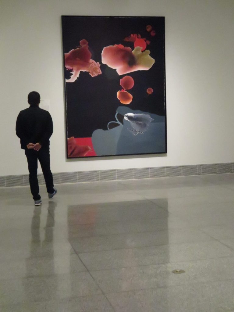 Dorothy Hood MFA Houston