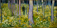 Exhibition Explores Van Gogh’s Deep Immersion Into Nature