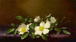 Cherokee Roses on a Purple Cloth, 1894 by Martin Johnson Heade from Paul Buchanan Collection, Sold for $507,875.00 (with premium) at Heritage Auction Galleries