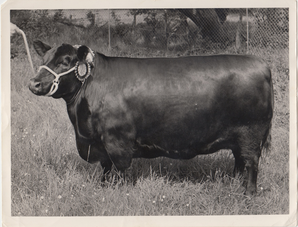 Press Photo labeled Josepha Erica of Eynsham 165170, 1959