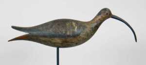 Rare Sicklebill Curlew Decoy