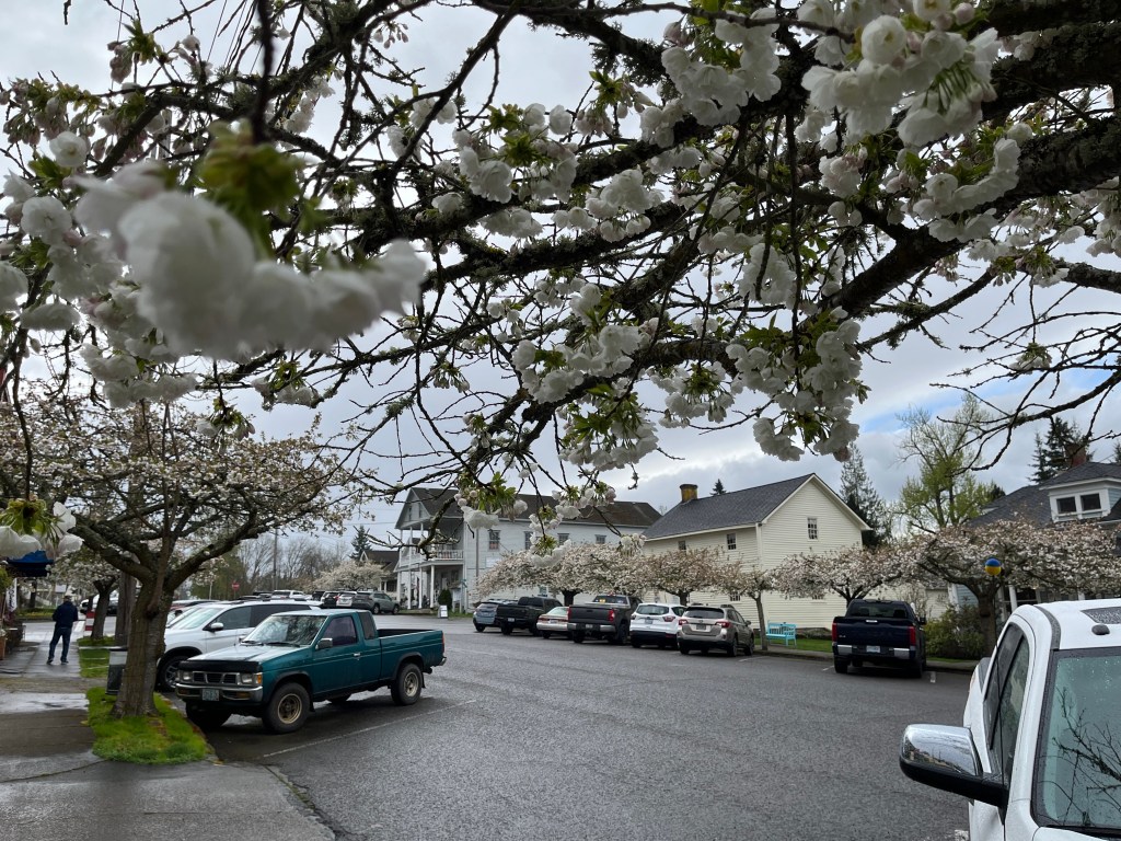 Antiquing at Its&nbsp;Best